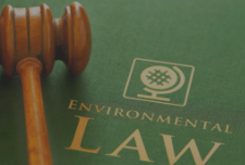 Find the best Environmental Lawyer