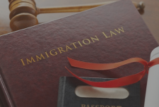 Find the best Immigration Lawyer