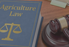 Best Agricultural LawyersTorontoOntario